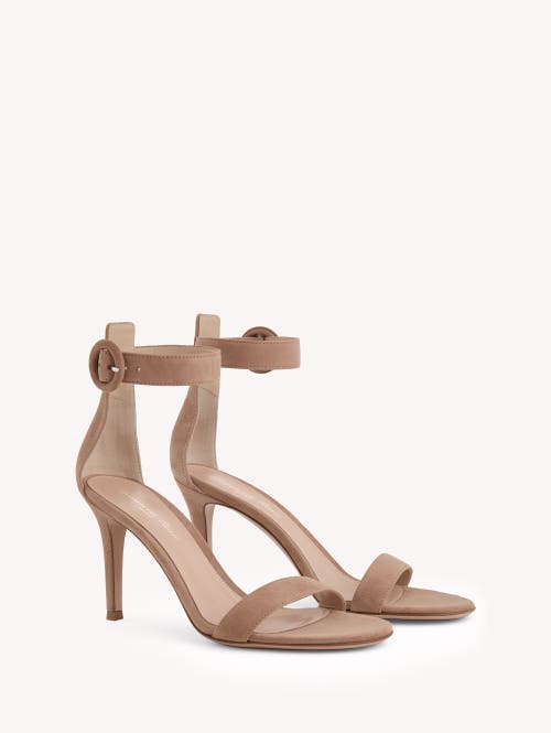Gianvito Rossi Portofino 85 Sandals In Pink