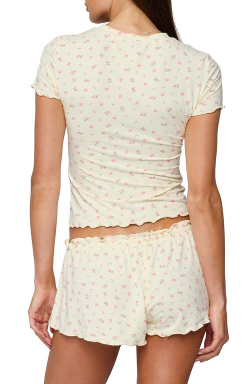 Shop Edikted Florence Floral Print T-shirt