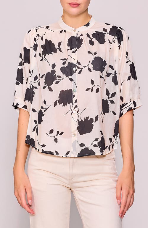 Melloday Print Voile Shirt In White