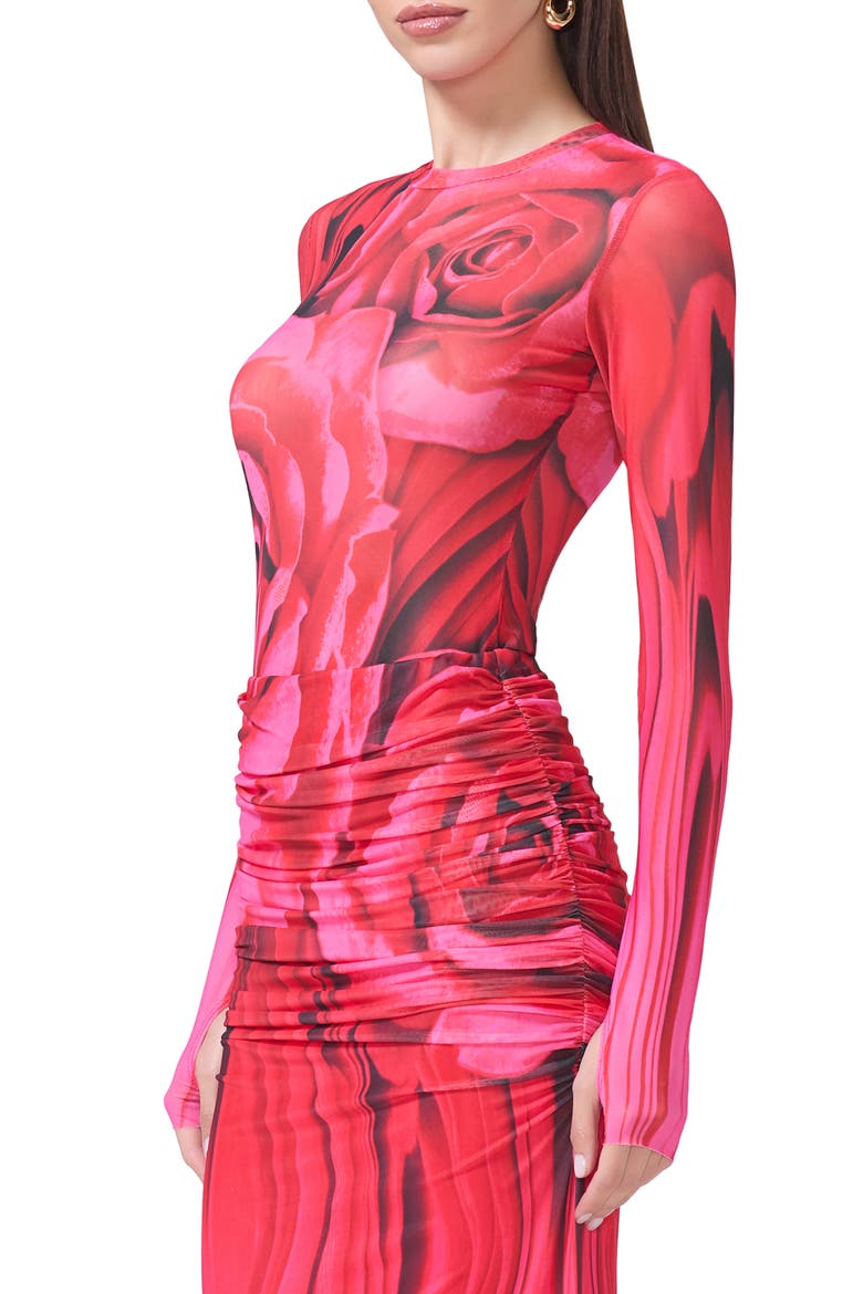 Kaylee Print Sheer Mesh Top, Alternate, color, ORGANIC ROSE