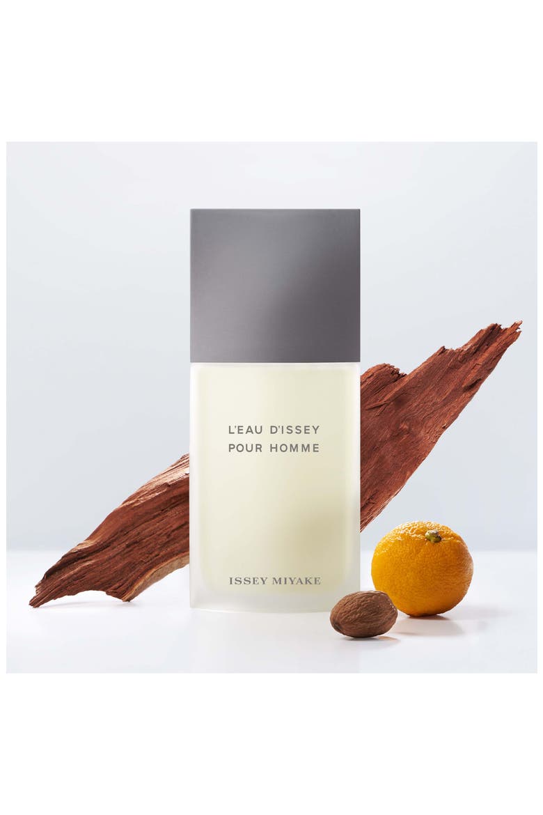 L'Eau d'Issey Pour Homme Eau de Toilette Spray, Alternate, color, NO COLOR