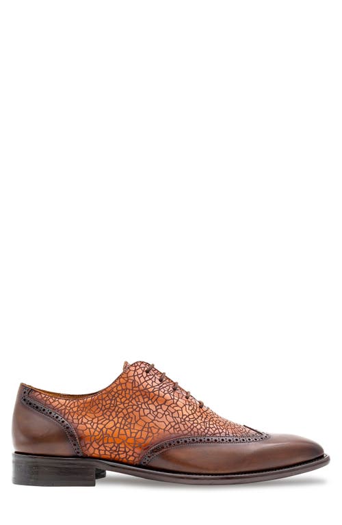 Mezlan Patina Laser Wingtip Oxford