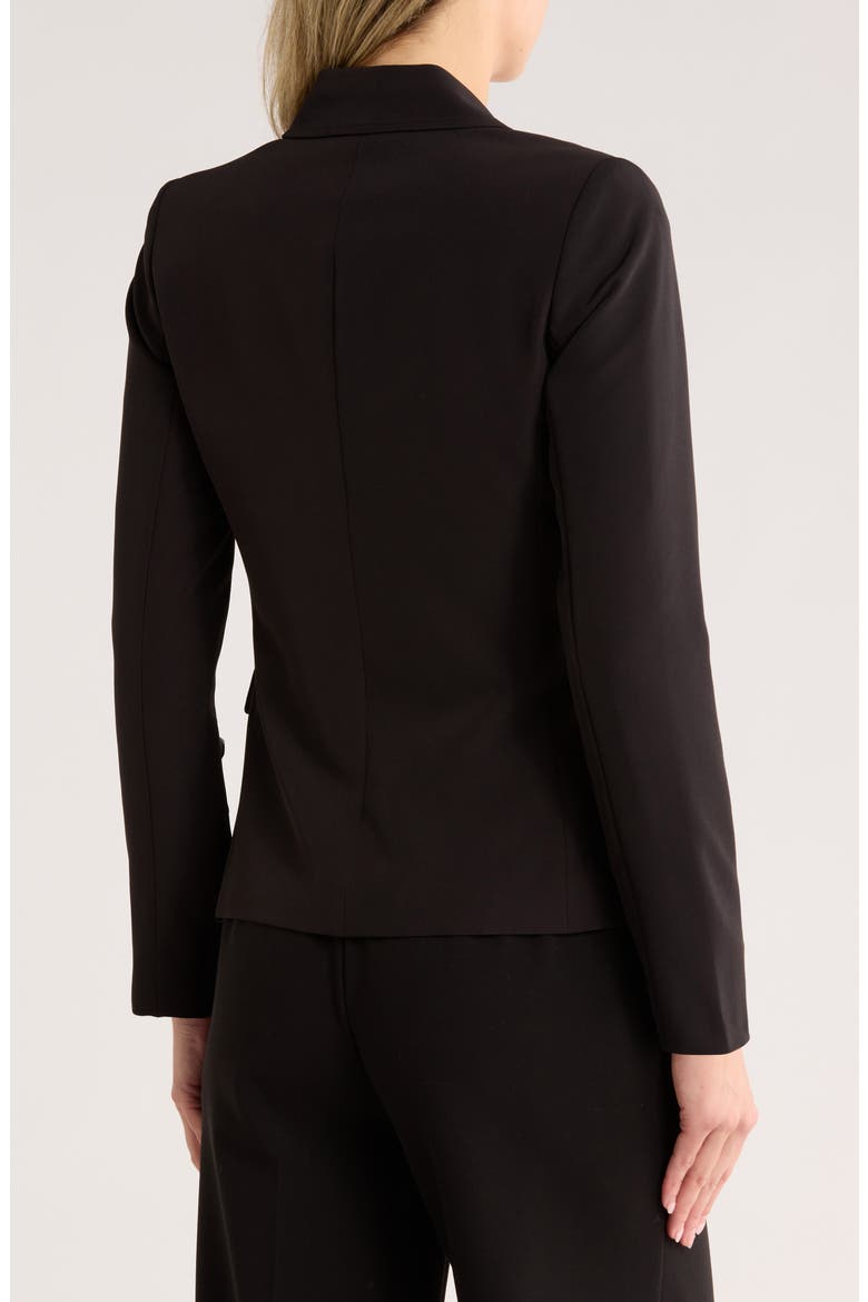 Peak Lapel Blazer, Alternate, color, BLACK