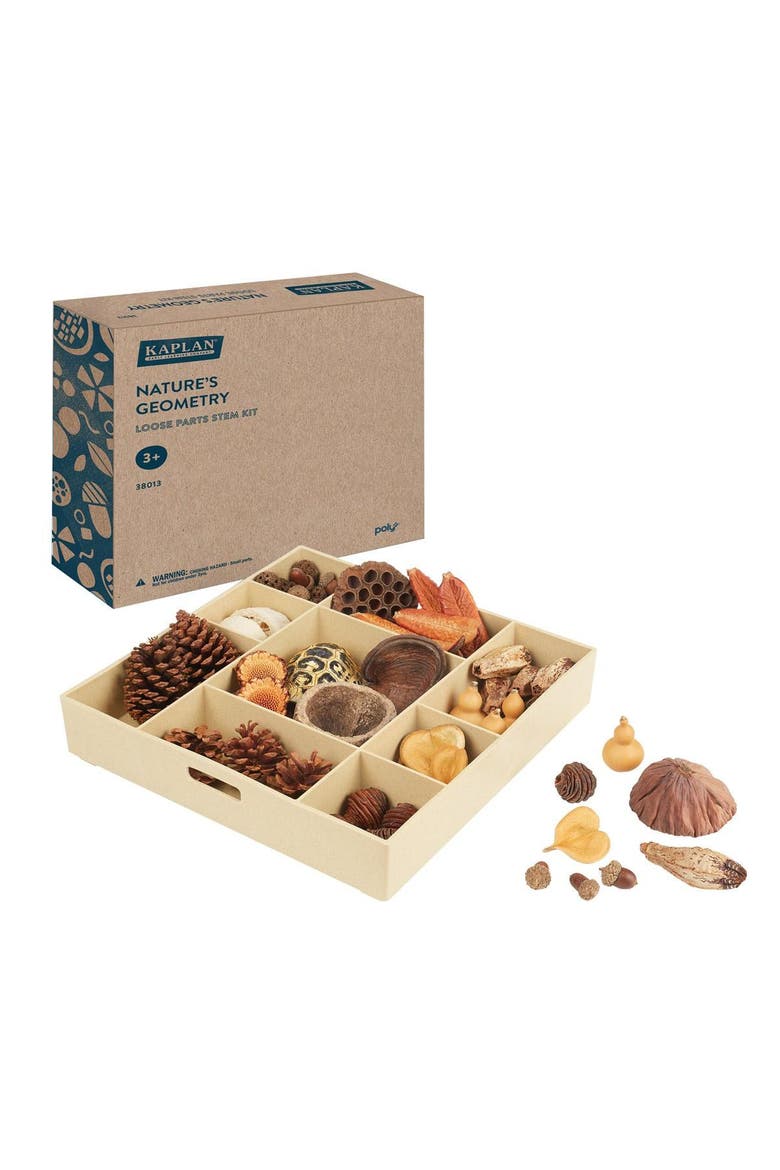 Nature's Geometry Loose Parts STEM Kit, Main, color, Multicolored