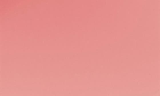 STRAWBERRY MILK