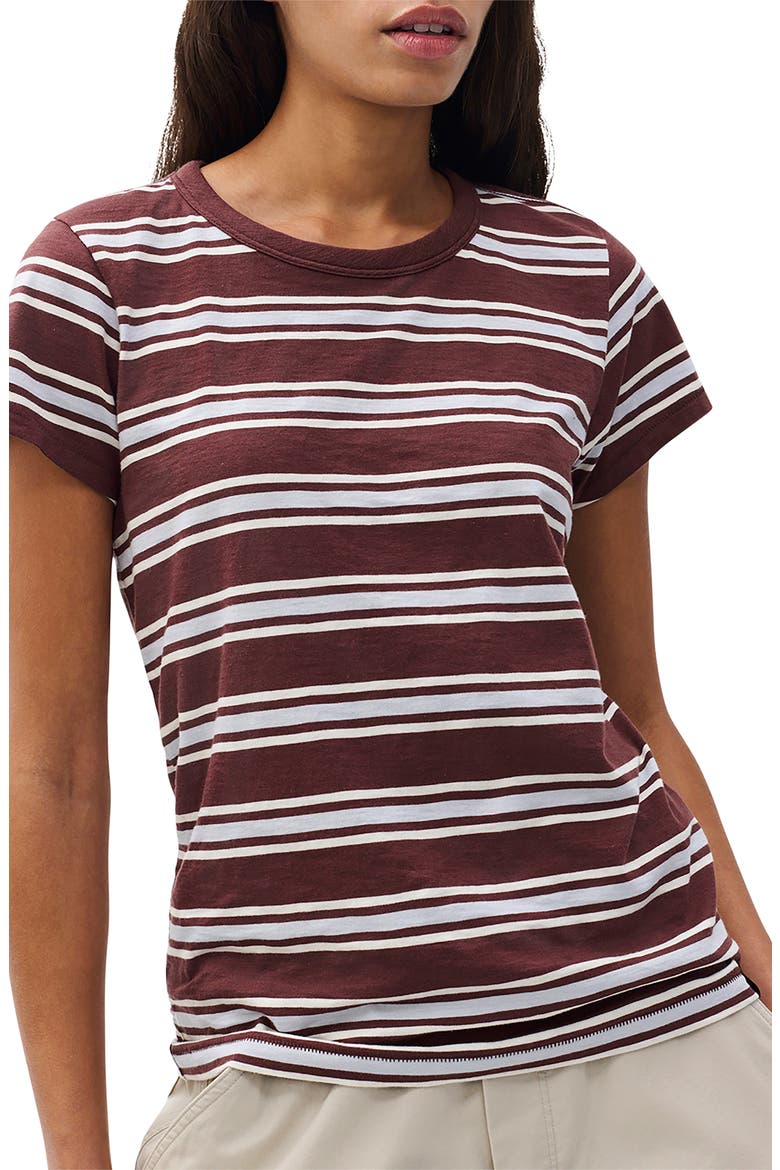 The Slub Stripe T-Shirt, Alternate, color, BROWN BLUE MULTI