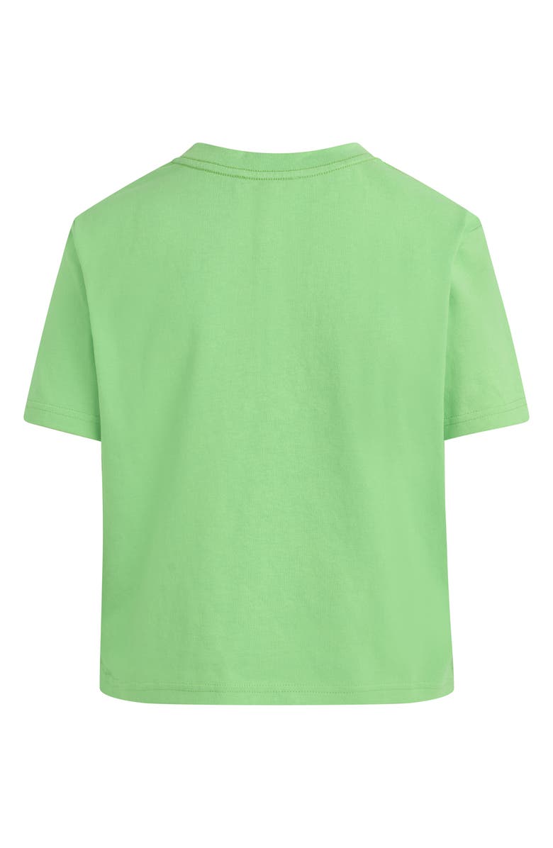 Favorite Daughter The Favorite Organic Cotton T-Shirt, Alternate, color, Kiwi