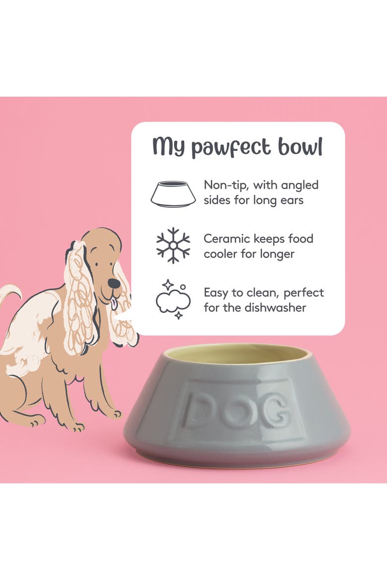 Non Tip Dog Bowl,  8.3 Inch, 54oz, Food & Water Angled Dish, Alternate, color, Gray