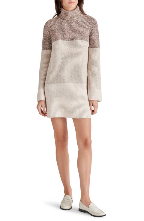 Colorblock Long Sleeve Turtleneck Sweater Dress