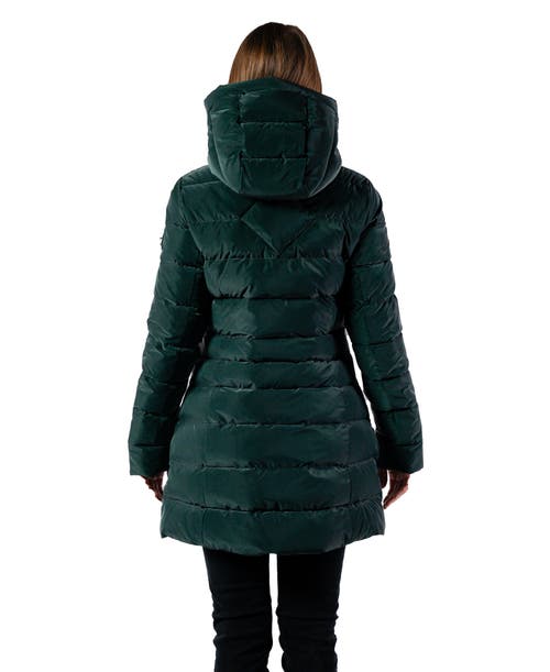 Woodpecker Long Robin Medium Weight Coat In Green