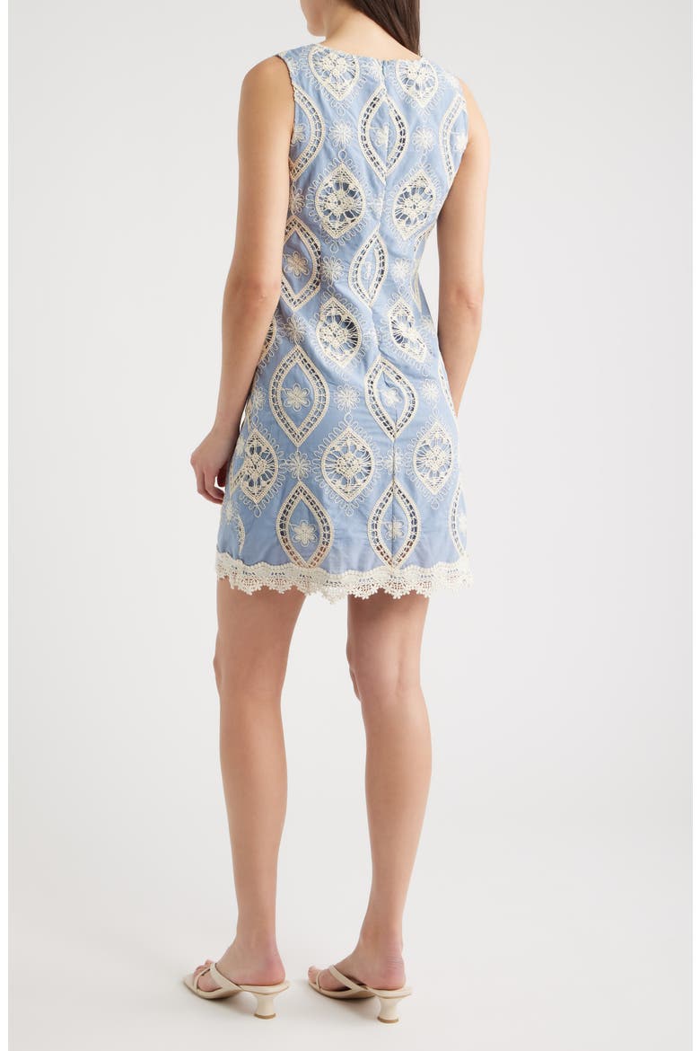 Embroidered Cotton Minidress, Alternate, color, LIGHT BLUE