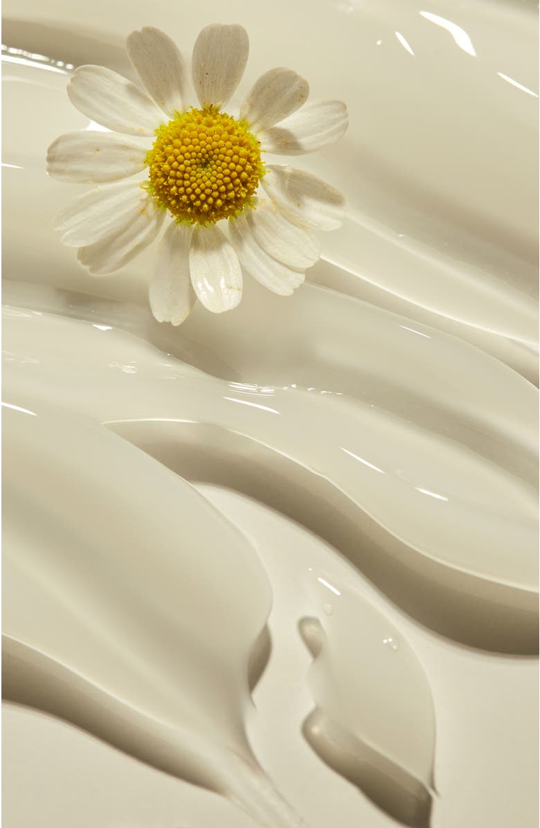 Relief Chamomile Cream