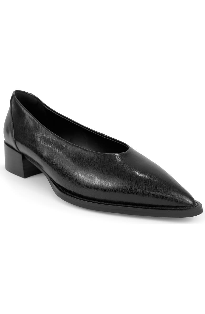 Aerosoles Mide Pointed Toe Pump, Main, color, Black Leather