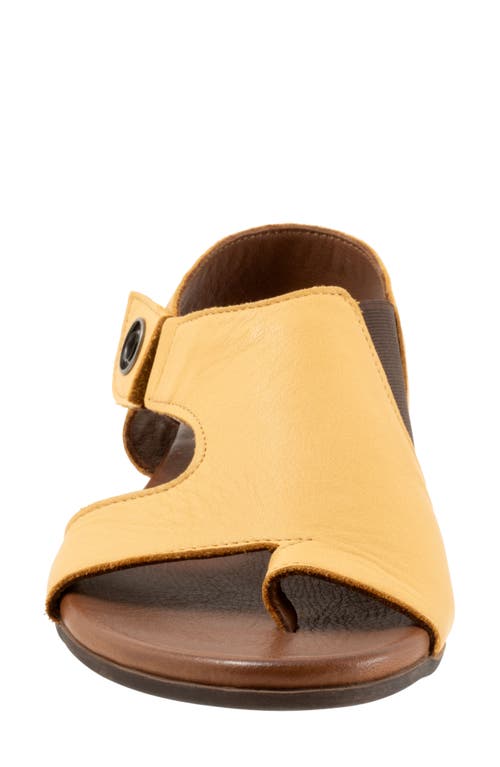 Bueno Tessie Toe Loop Sandal In Mustard