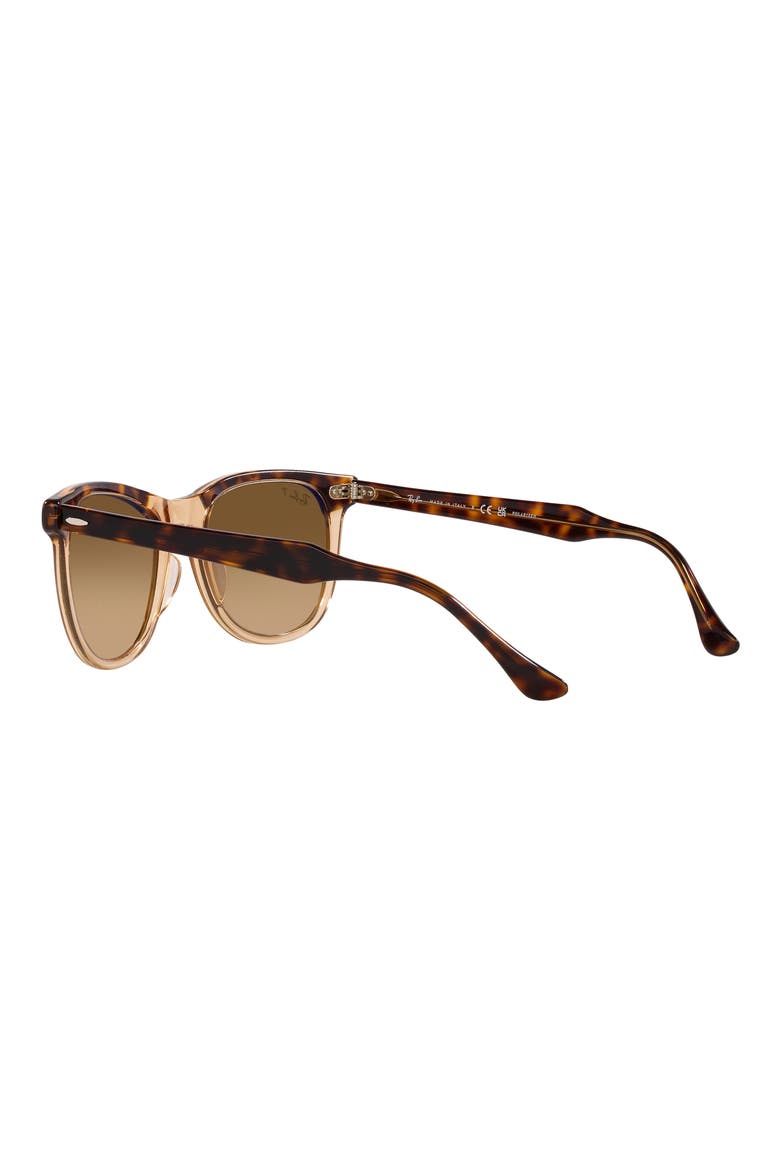 Eagle Eye 53mm Polarized Pillow Sunglasses, Alternate, color, HAVANA