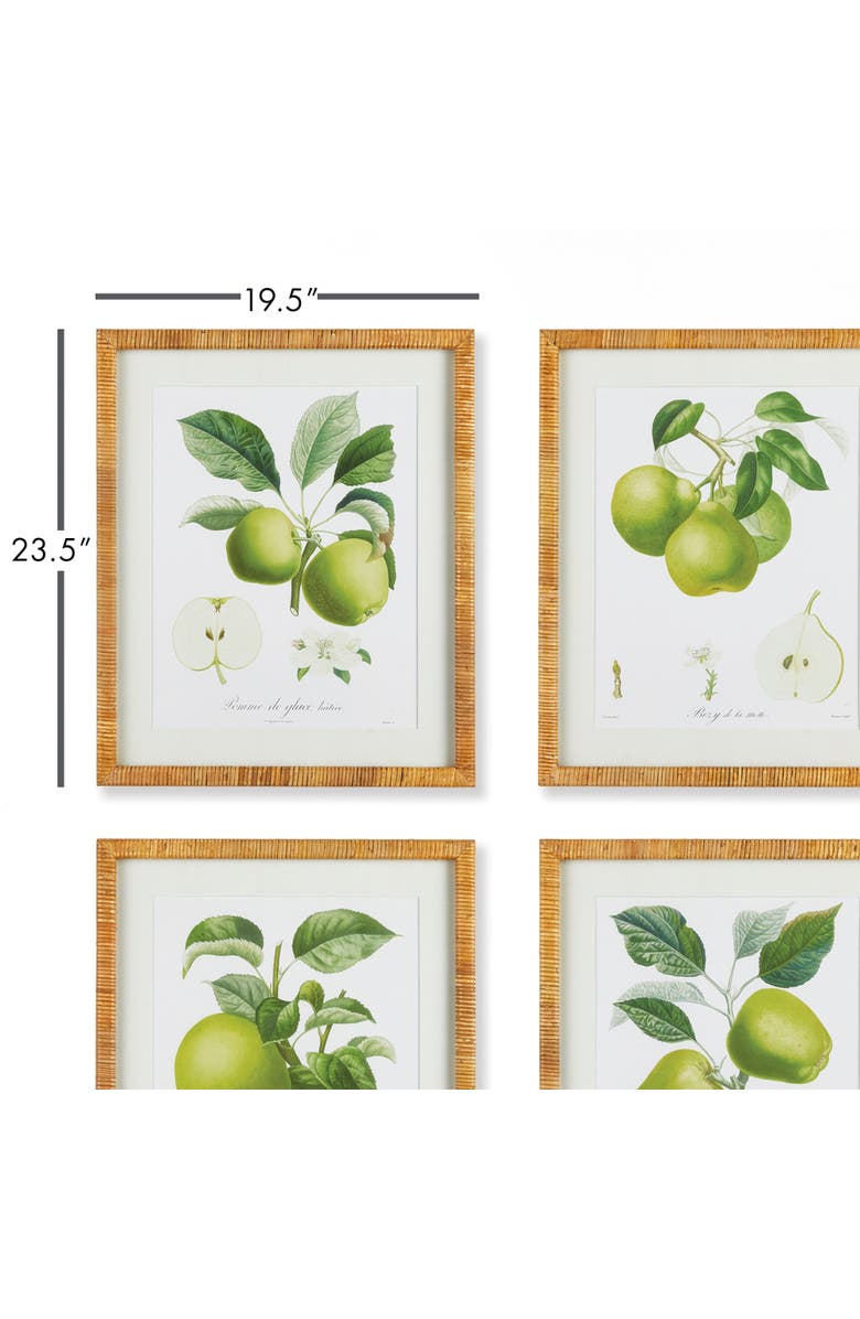 Napa Home & Garden Fruit Study Set of 4, Alternate, color, Green