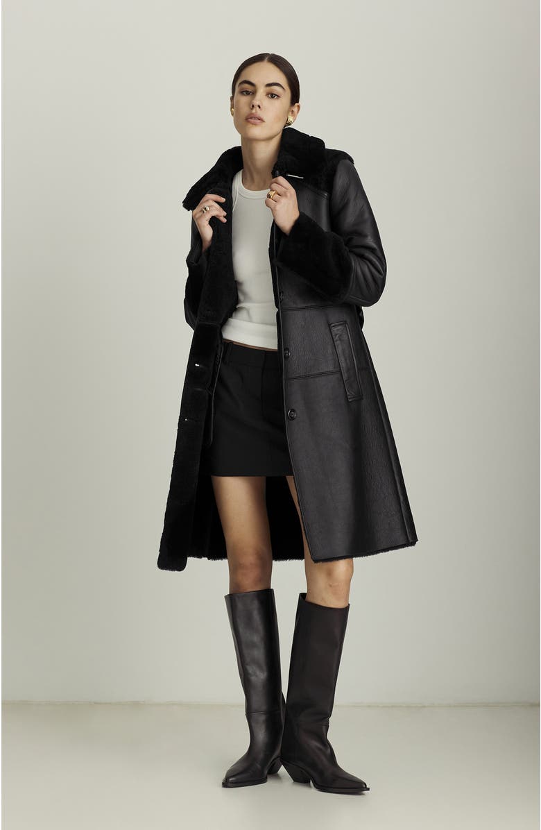 Dawn Levy Astrid Coat, Alternate, color,