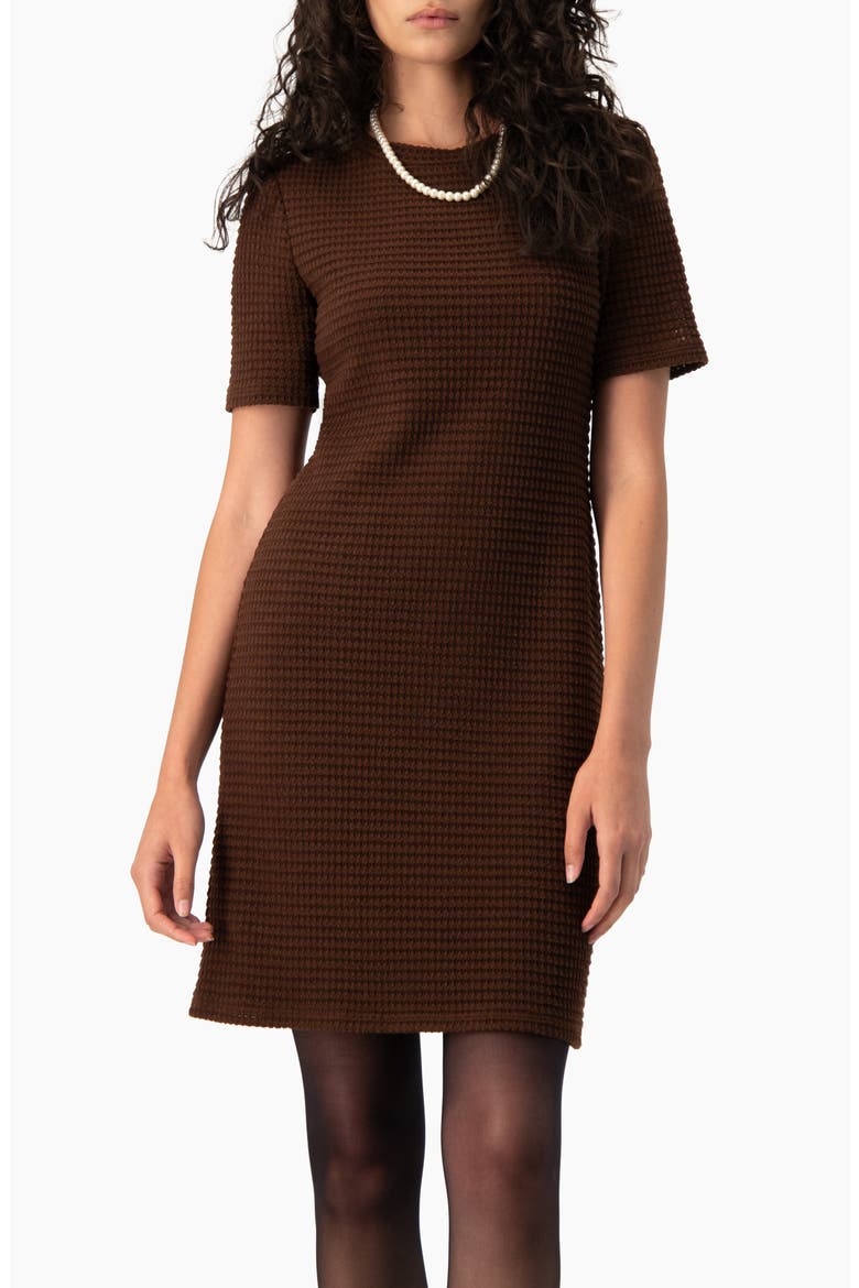 Textured Waffle-Knit Shift Short-Sleeve Mini Dress, Main, color, Brown