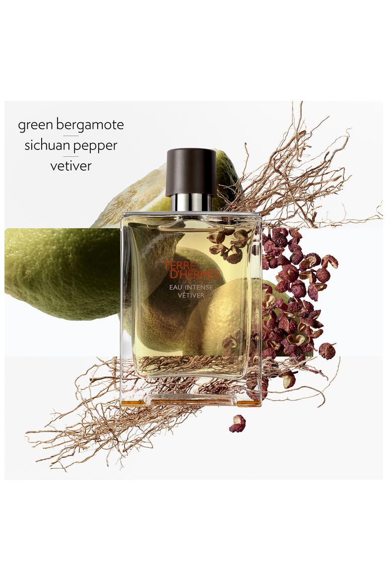 Terre d'Hermès Eau Intense Vétiver – Eau de parfum, Alternate, color, NO COLOR