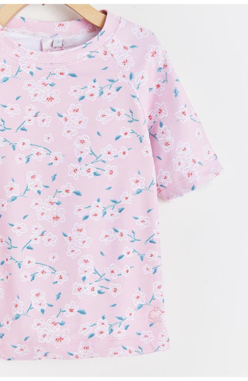 Babycottons T-shirt Cloud Beach Sakura For Little Kid In Pink