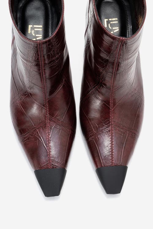 Prologue Shoes Rassel Pointed Toe Boot In Burgundy