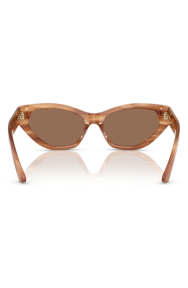 Jimmy Choo 55mm Cat Eye Sunglasses, Alternate, color, Brown Havana