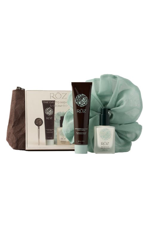 Roz Day To Night Kit $61 Value In Transparent