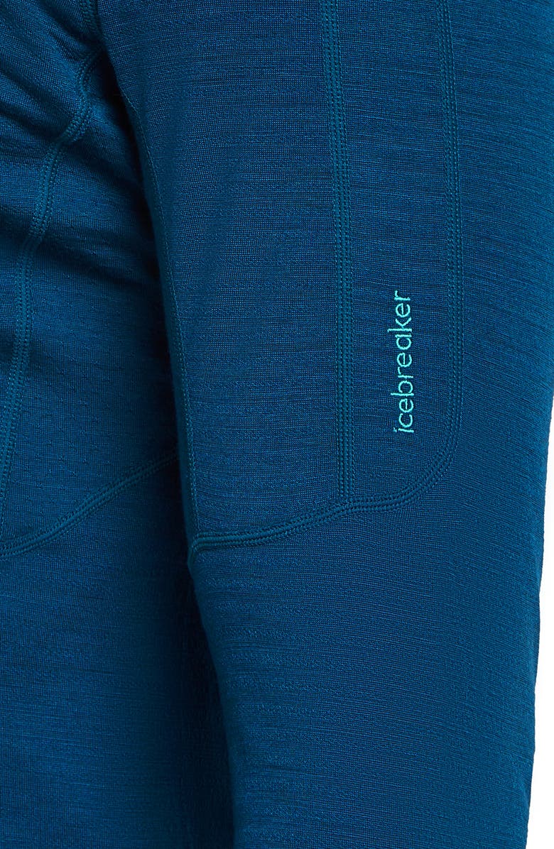 Icebreaker Lyocell & Merino 200 Realfleece Descender Hooded Jacket, Alternate, color, Atlantis/ Arctic