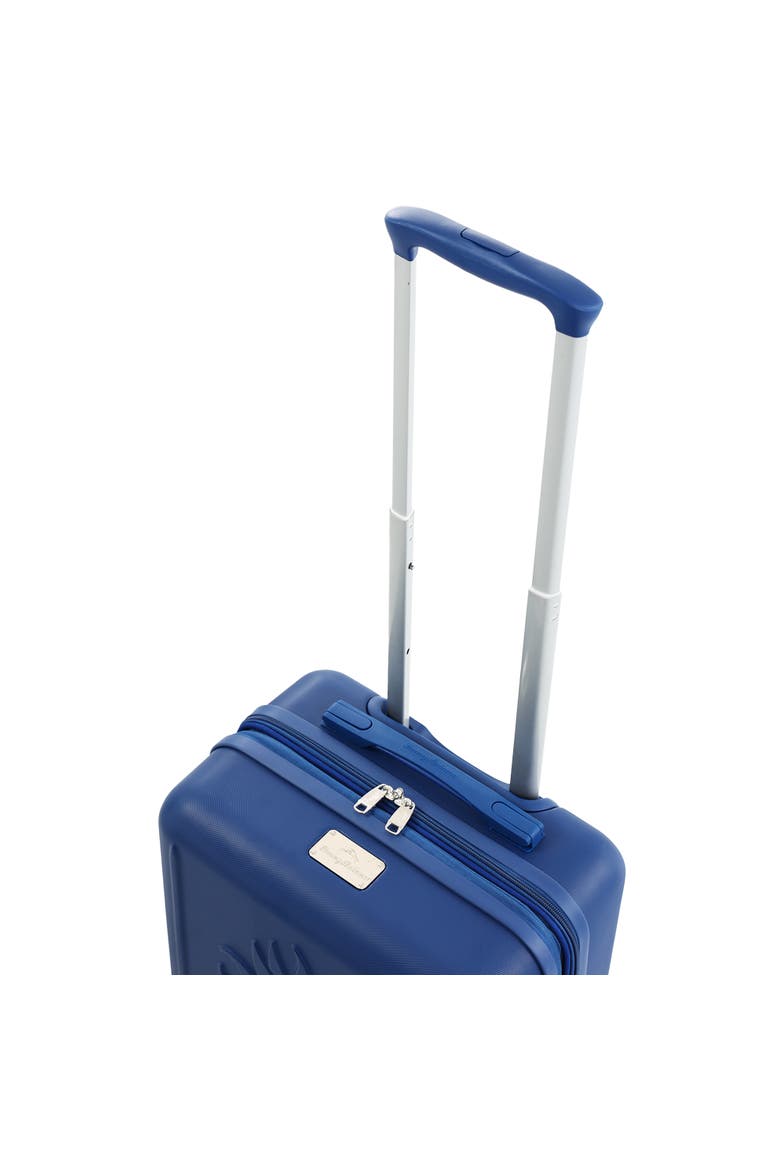 30" Hardside Spinner Luggage with 3D Pineapple, Alternate, color, NAVY