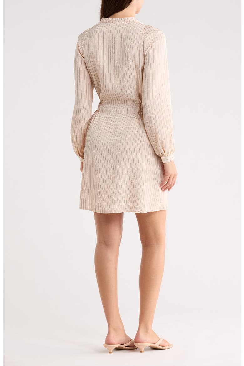 Long Sleeve Dress, Alternate, color, BEIGE