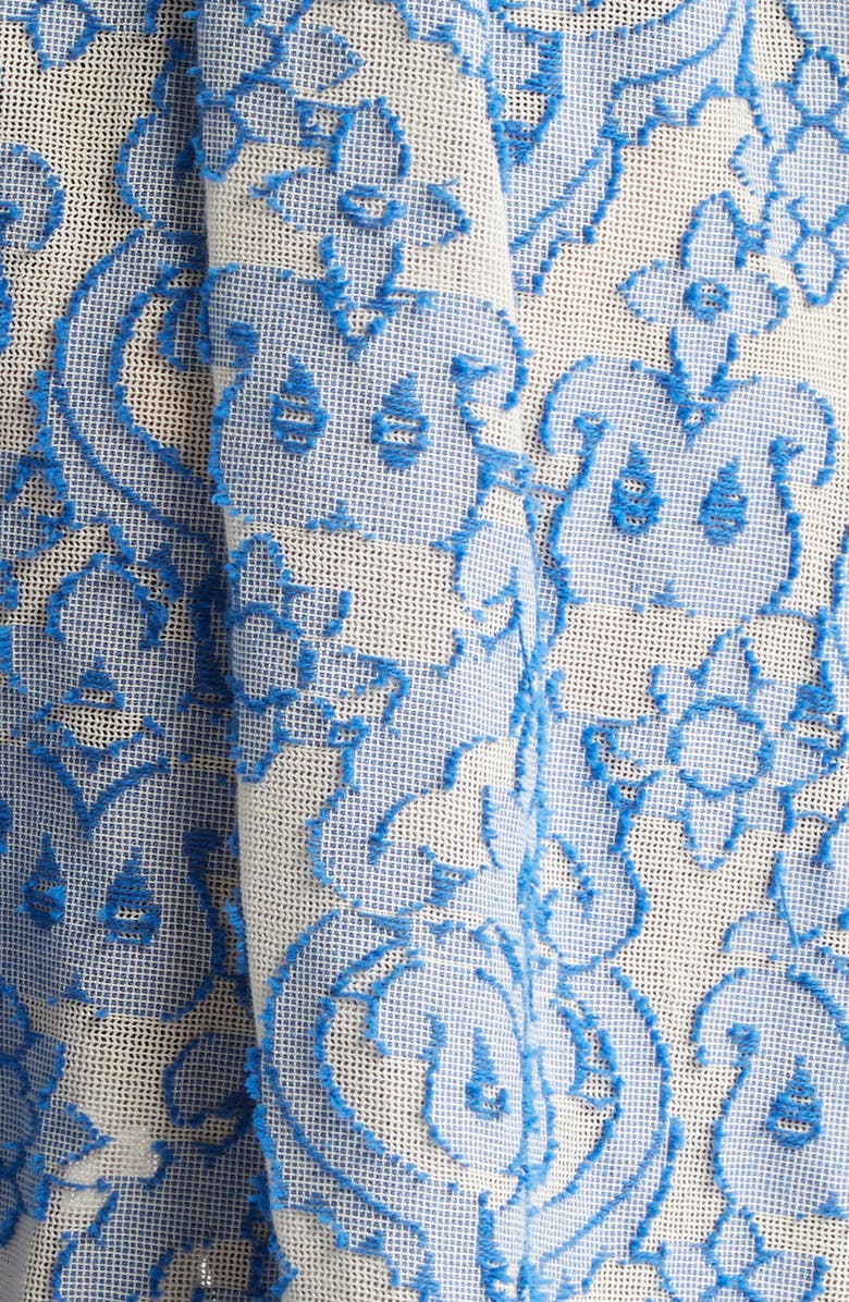 Zimmermann Wyle Lantern Sleeve Fil Coupé Midi Dress, Alternate, color,