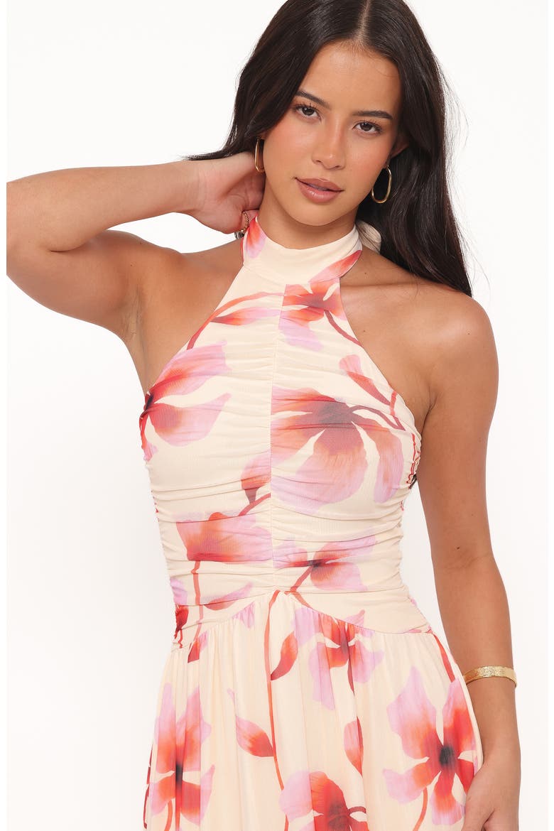 Kaira Halter Neck Maxi Dress, Alternate, color, PINK FLORAL