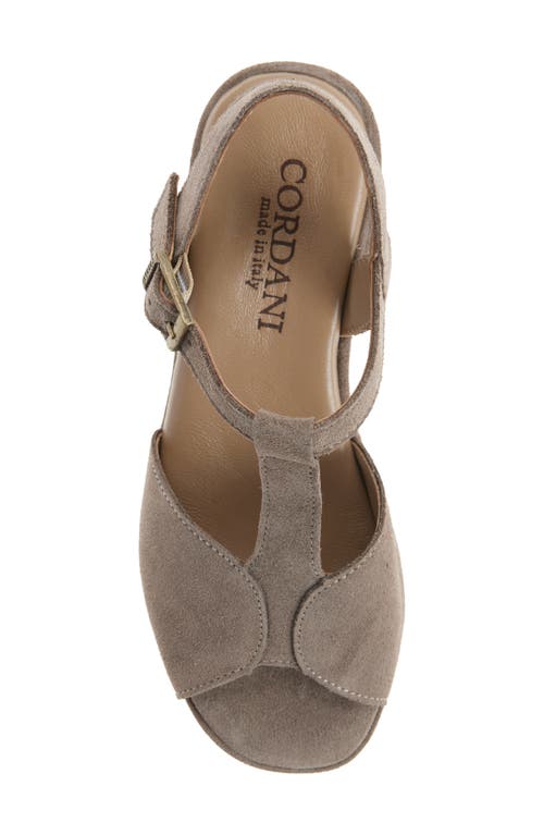 Cordani Jaycee Platform Sandal In Brown