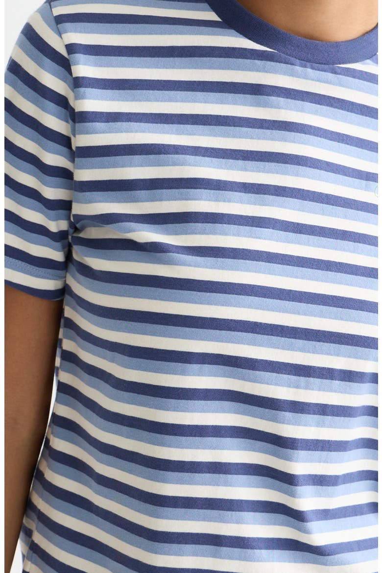 Stripe Cotton Ringer T-Shirt, Alternate, color, OCEANA STRIPES