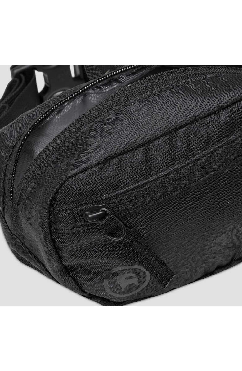 Backcountry Destination 1L Hip Pack, Alternate, color,