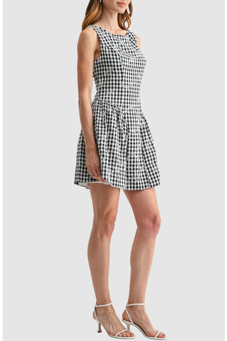 Embroidered Sleeveless Fit & Flare Dress, Alternate, color, BLACK GINGHAM