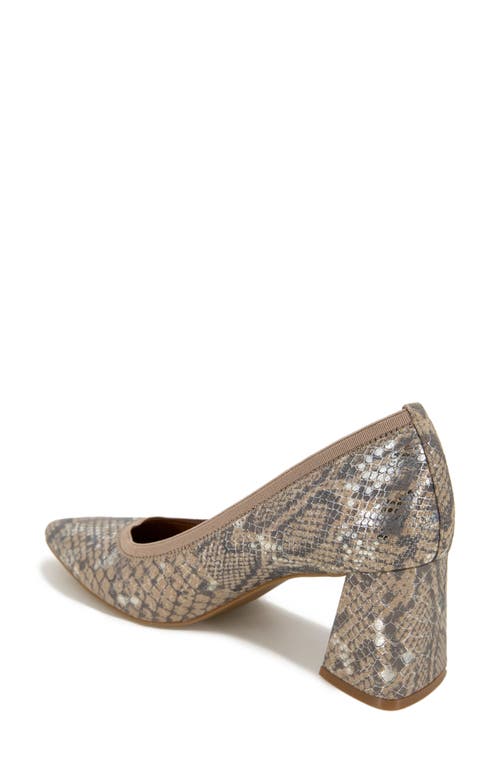 Gentle Souls Dionne Pointed Toe Pump In Brown