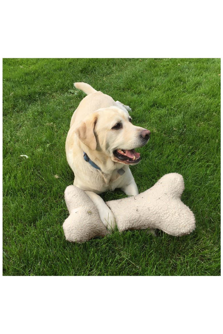 Sherpa Bone Pet Pillow, Alternate, color, NATURAL