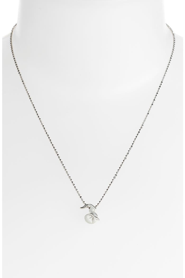 'Little Signs' Zodiac Pendant Necklace, Alternate, color, SILVER- CAPRICORN