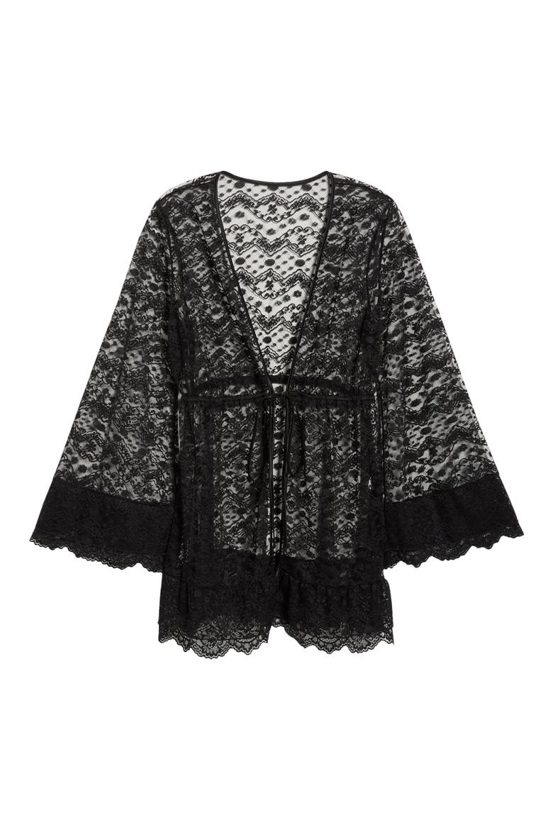 Embroidered Sheer Mesh Robe, Alternate, color, BLACK