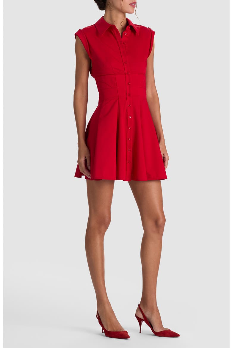 Kim Paneled Corset Fit and Flare Mini Shirtdress, Alternate, color, HIBISCUS