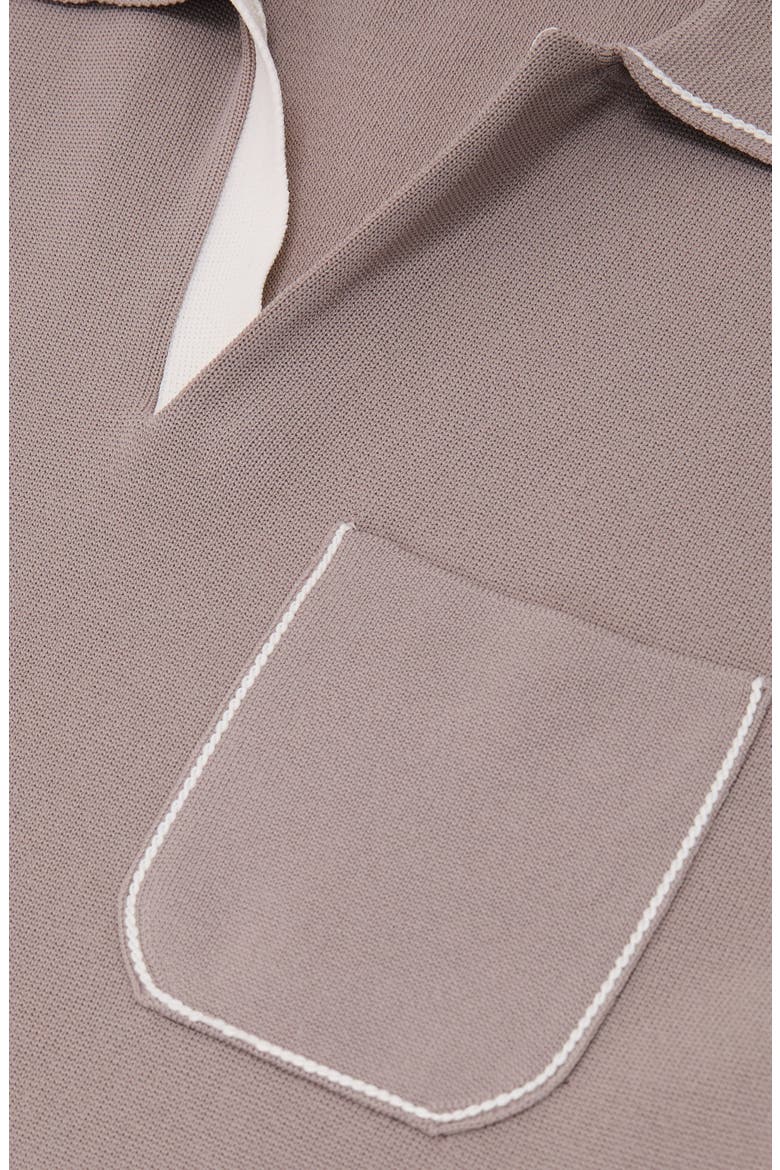 Newbury Johnny Collar Polo, Alternate, color, LIGHT TAUPE BROWN
