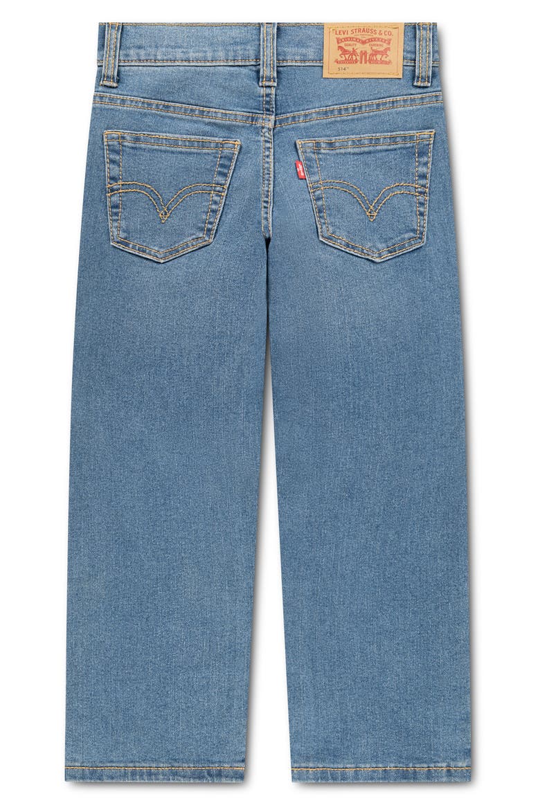 Kids' 514 Straight Leg Jeans, Alternate, color, WELL WORN