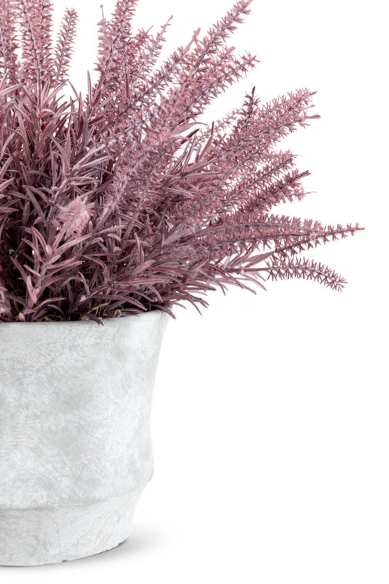 Casper Wheatgrass Arrangement, Alternate, color, Purple