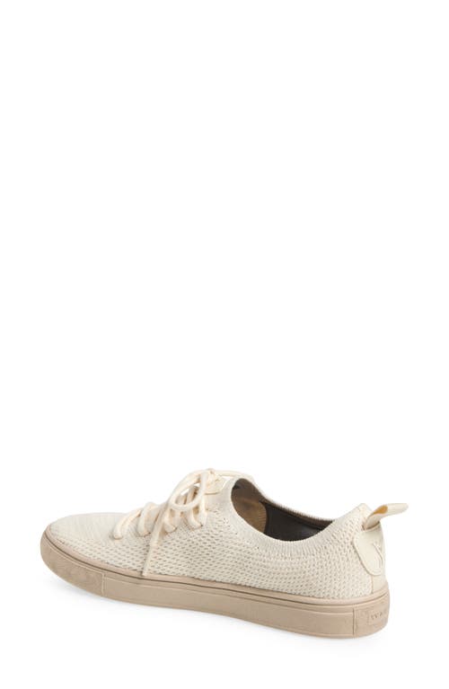 YY NATION YY NATION CIRRUS HEMP & WOOL LOW TOP SNEAKER