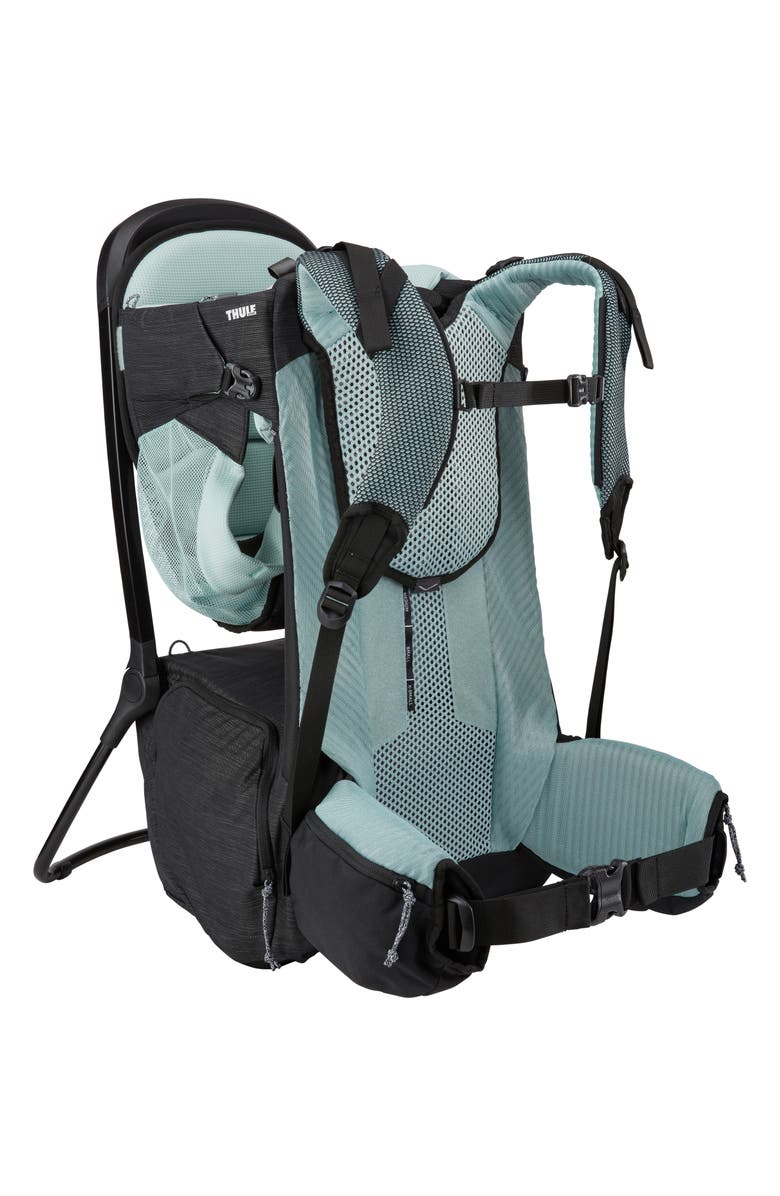 Thule Sapling Child Carrier, Main, color, Black