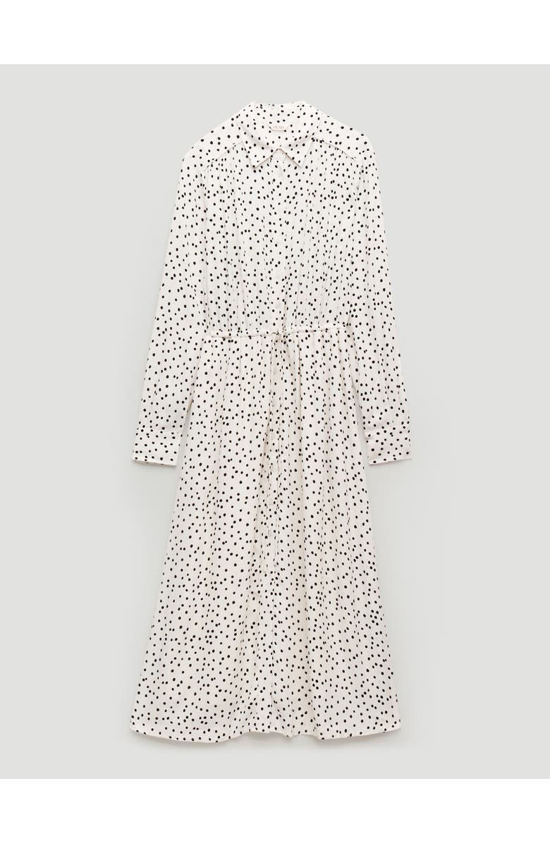 Hush Rosey Polka Dot Midi Shirt Dress, Alternate, color, Tiny Polka Dot White
