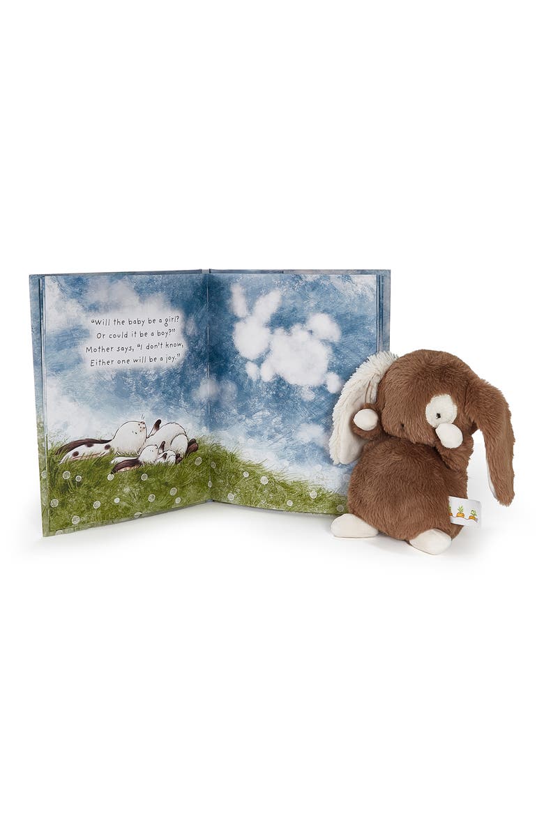 Baby Harriet's Board Book & Plush Bunny Gift Set, Alternate, color, BROWN