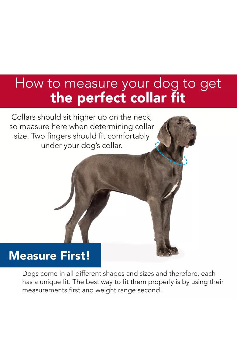 Pro Active Woven Reflective Dog Collar, Pixel Pink, Large, 1 Inch, Adjustable, Alternate, color, Pink