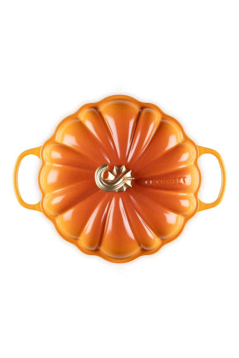 Enameled Cast Iron Pumpkin Braiser, Alternate, color, PERSIMMON